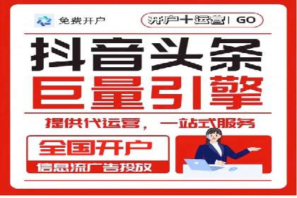 专业SEM服务公司案例分析报告